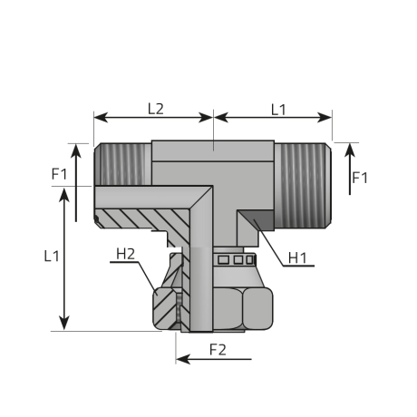 BRANCH TEE MALE ORFS - TEE MALE ORFS - FEMALE ORFS