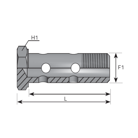 DOUBLE BSPP BOLT