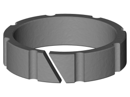 FSP