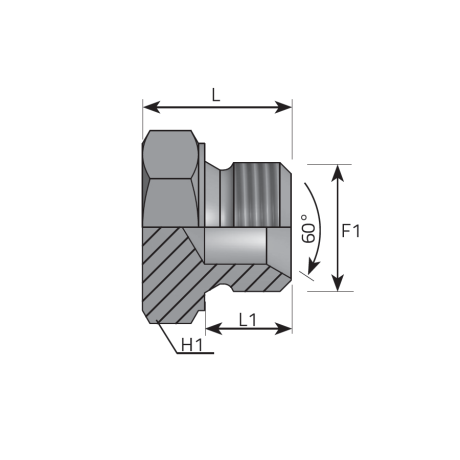 MALE PLUG BSPP