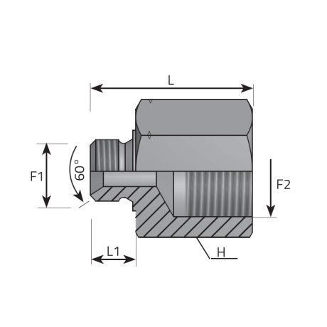 REDUCING ADAPTER METRIC MALE - FEMALE BSPP