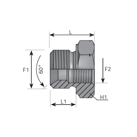 REDUCING PLUG MALE BSPP - METRIC FEMALE