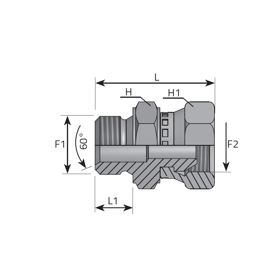 ADATTATORE DIRITTO - MASCHIO GAS CILINDRICO SV 60°- FEMMINA GIREVOLE GAS CILINDRICA -  Vitillo