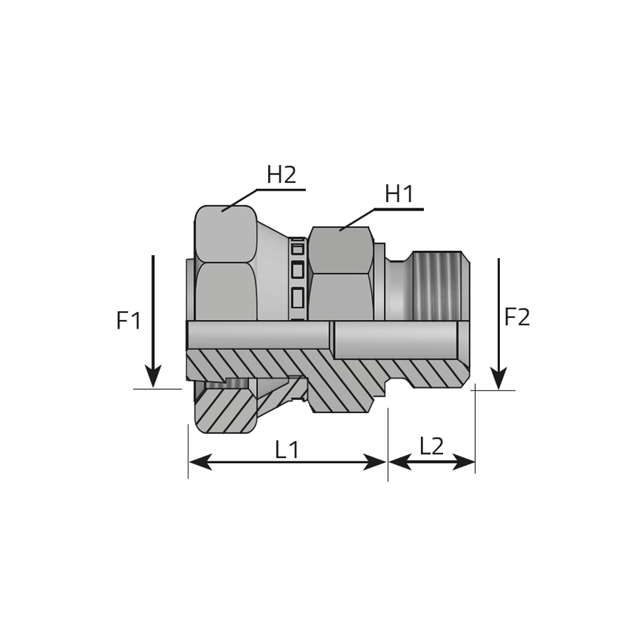 ADAPTOR FEMALE ORFS - MALE BSPP WITH 60° CONE