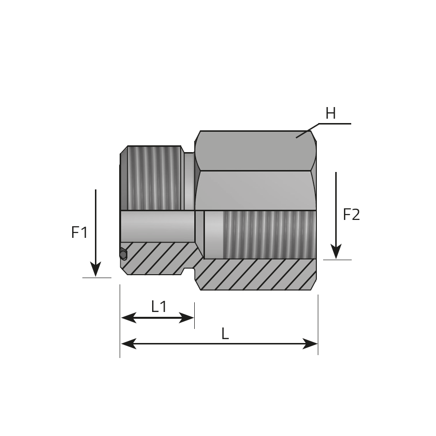 ADAPTOR MALE ORFS - Female BSPP -  Vitillo