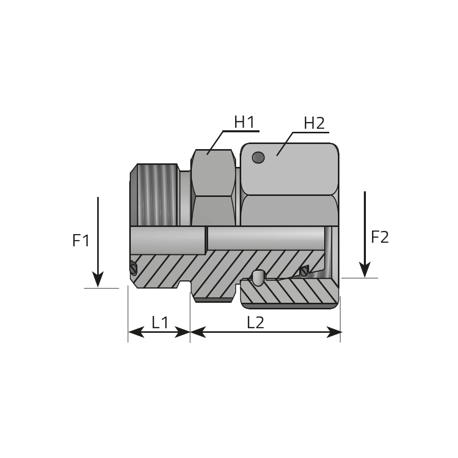 ADAPTOR MALE ORFS - FEMALE DIN (THRUST-WIRE NUT) -  Vitillo