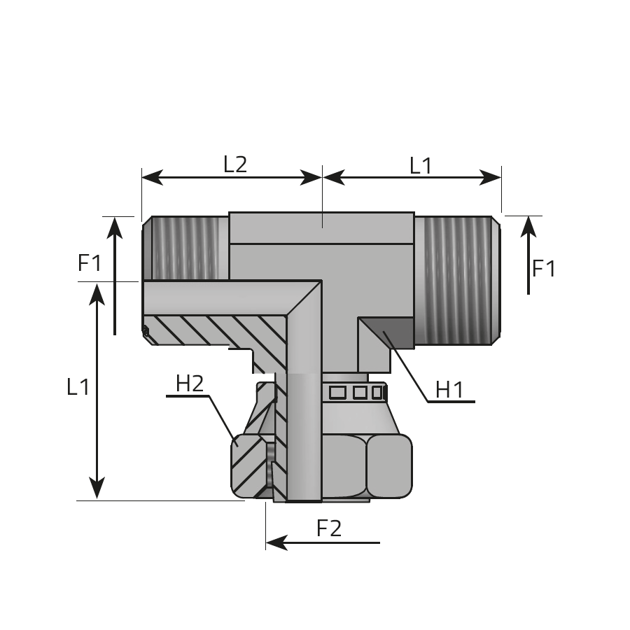 BRANCH TEE MALE ORFS - TEE MALE ORFS - FEMALE ORFS
