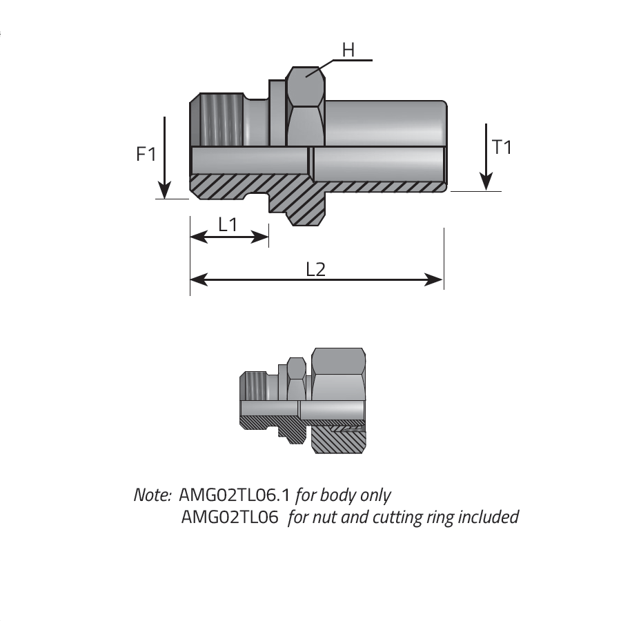 BSPP MALE - DIN STUD STANDPIPE FORM B -  Vitillo