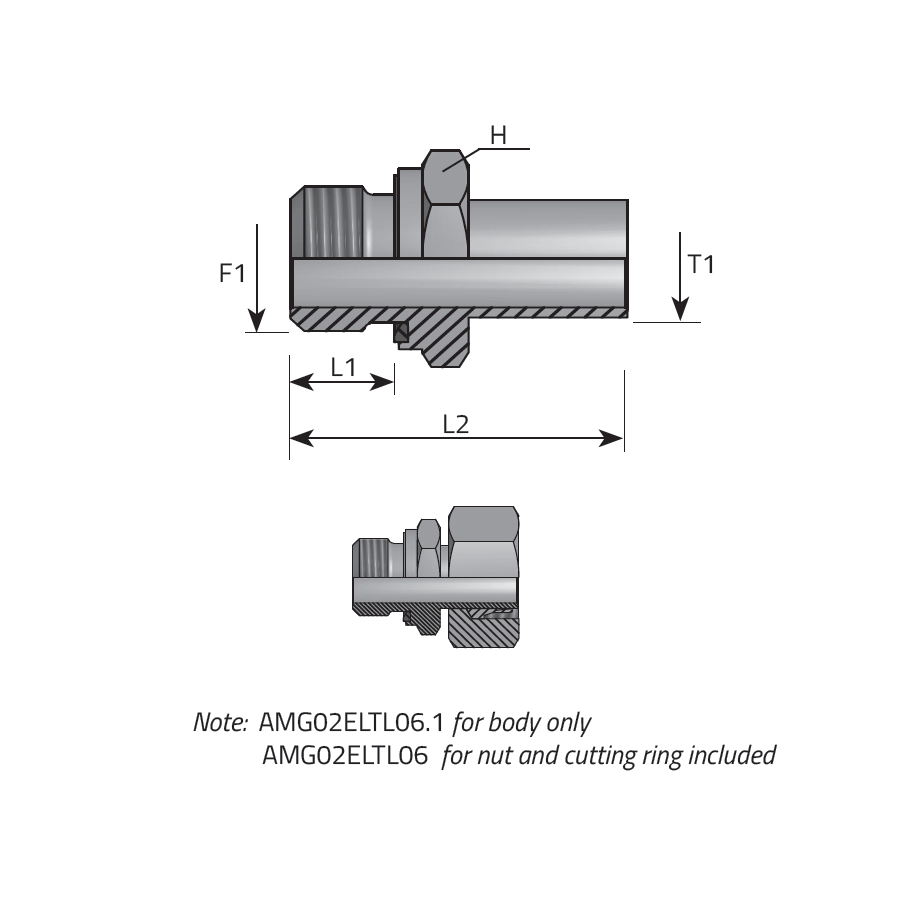 ADATTATORE DIRITTO MASCHIO GAS CILINDRICO FORMA E DIN 3852 - TUBO DIN -  Vitillo