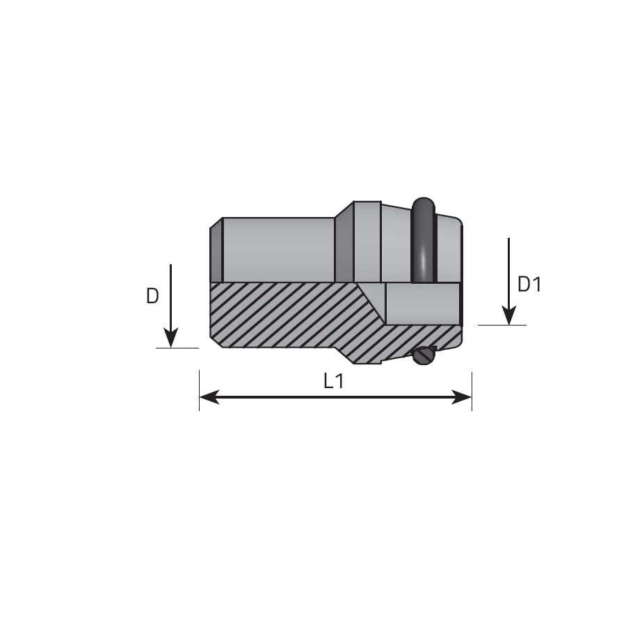 DIN 24° BLACKING PLUG