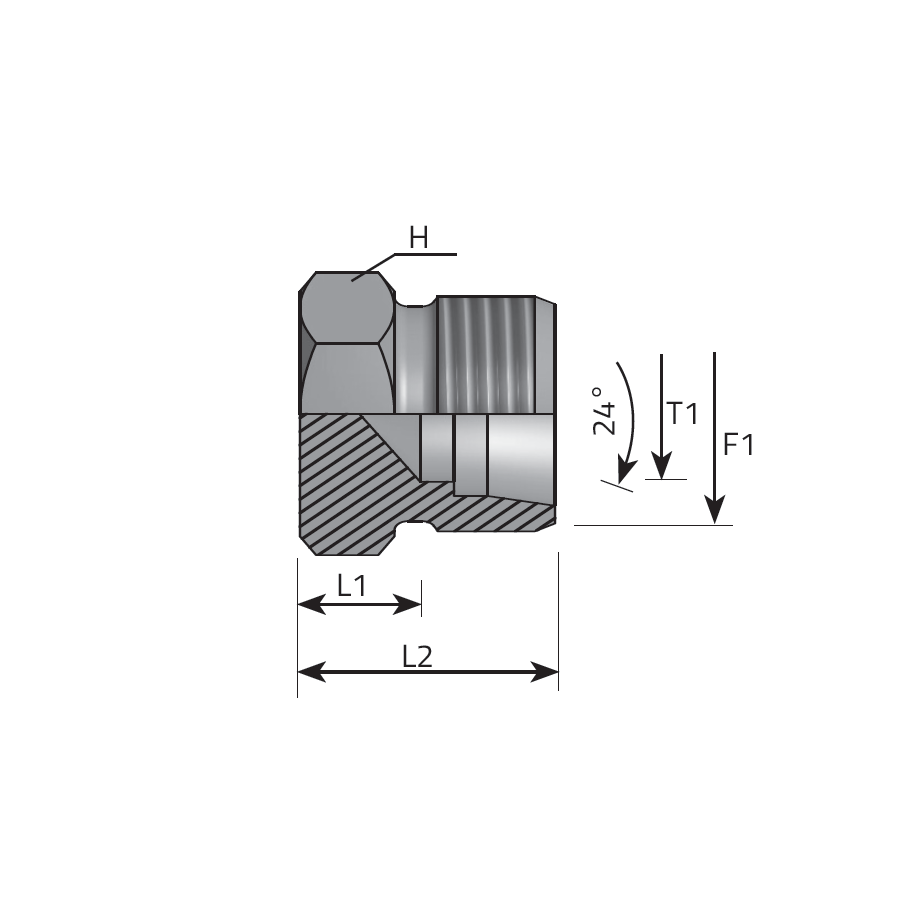 DIN 24° PIPE PLUG -  Vitillo