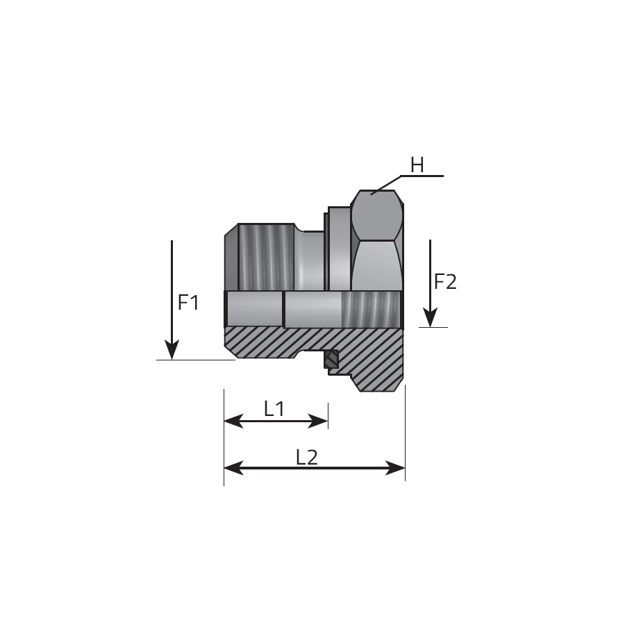 DIN CONNECTOR BSPP MALE - BSPP FEMALE - FORM E