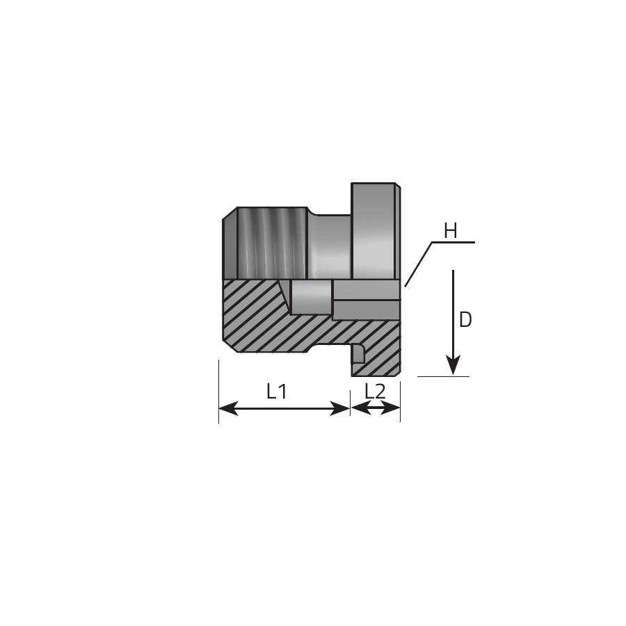 DIN INNER HEXAGON PLUG METRIC FORM E DIN 3852