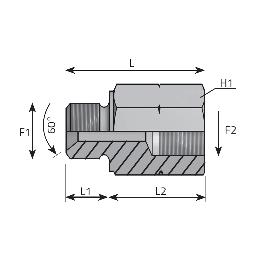 PROLUNGA - MASCHIO METRICO SV 60° - FEMMINA FISSA METRICA -  Vitillo