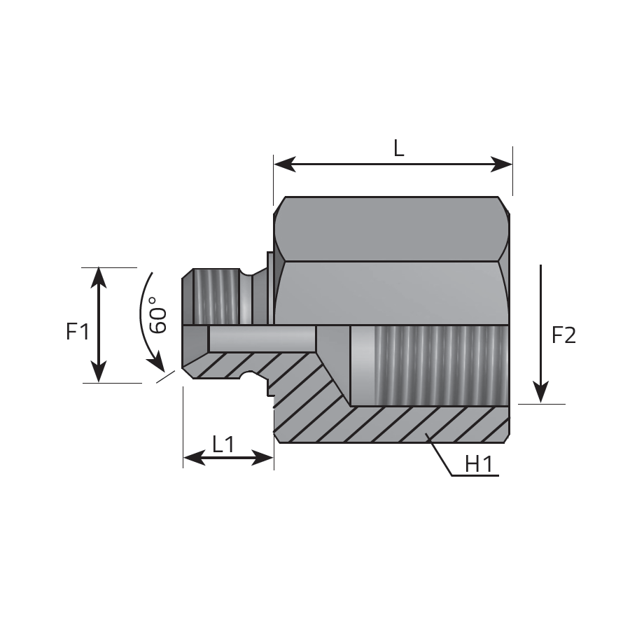 REDUCING ADAPTER MALE BSPP - FEMALE BSPP -  Vitillo