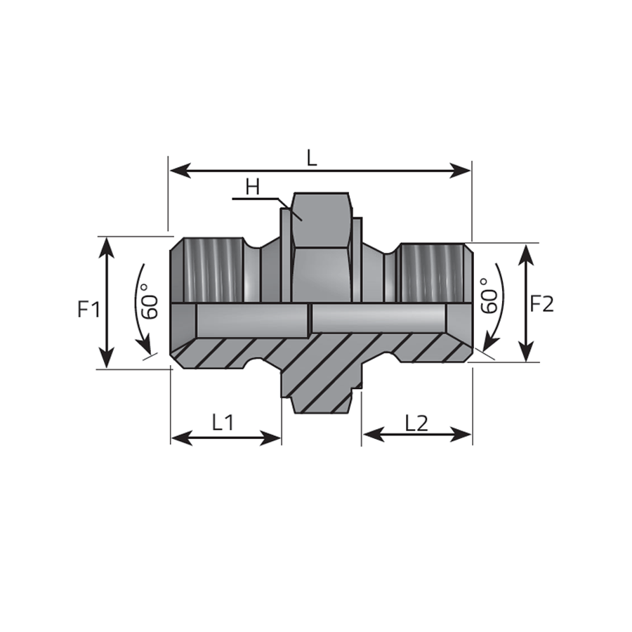 ADATTATORE DIRITTO RIDOTTO MASCHIO GAS CILINDRICO SV 60° -  Vitillo