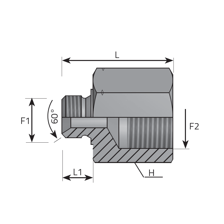 REDUCING ADAPTER METRIC MALE - FEMALE BSPP -  Vitillo