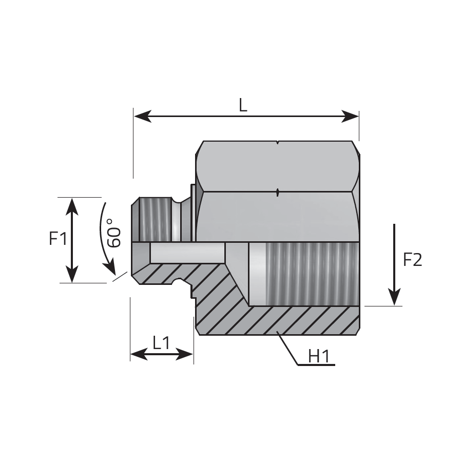 RIDUZIONE LUNGA - MASCHIO METRICO SV 60° - FEMMINA METRICA -  Vitillo