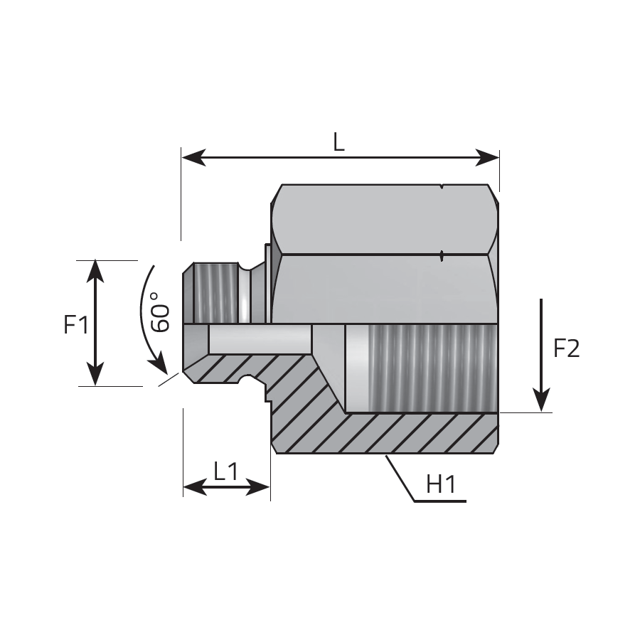 REDUCING ADAPTER METRIC MALE - METRIC FEMALE -  Vitillo