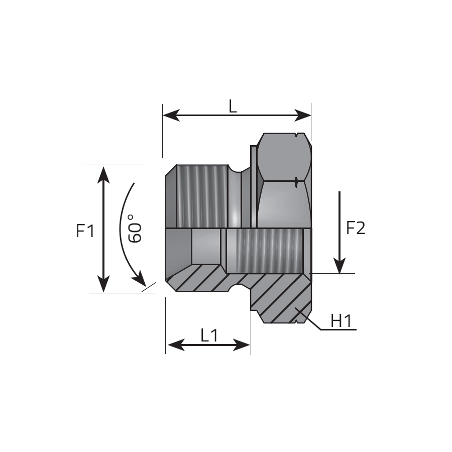 REDUCING PLUG MALE BSPP - METRIC FEMALE