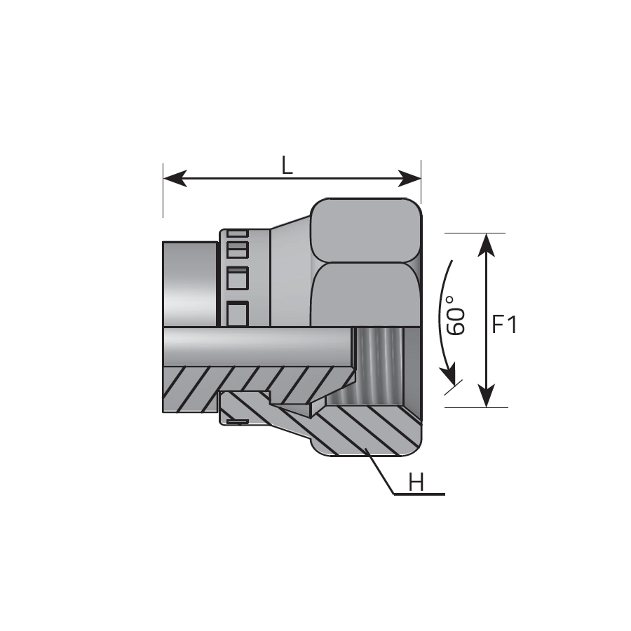 SWIVEL FEMALE PLUG BSPP -  Vitillo