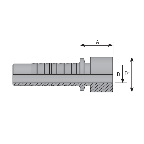 BRAZING TAIL -  Vitillo