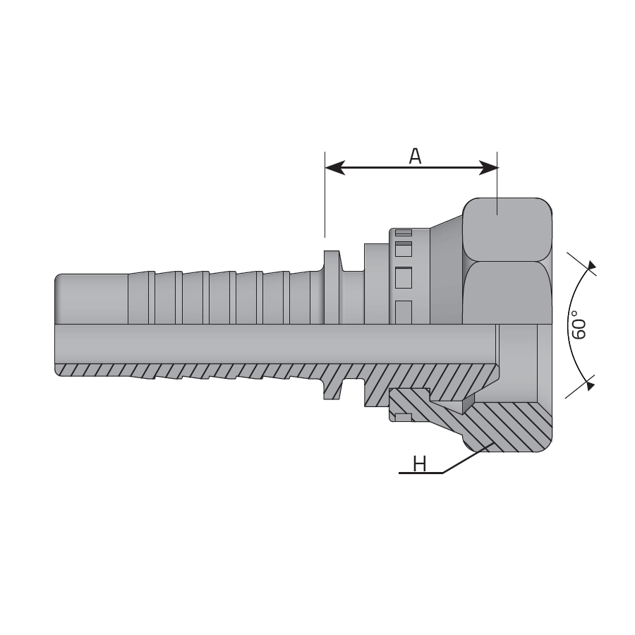 BSPP FEMALE 60° CONE