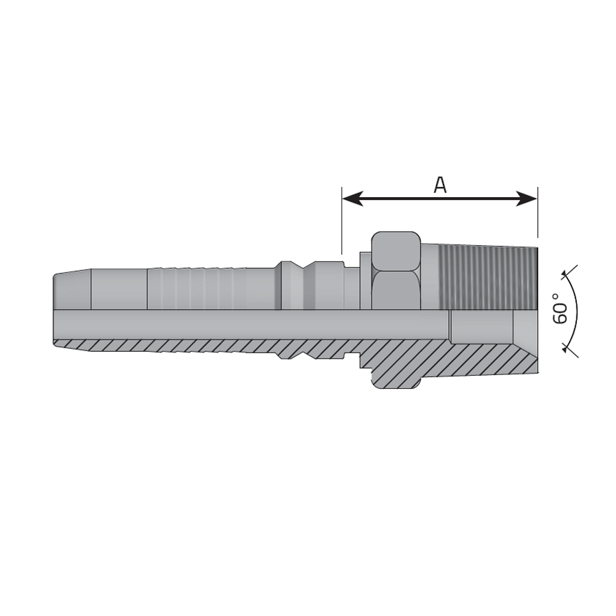 MASCHIO BSPT SV 60° -  Vitillo