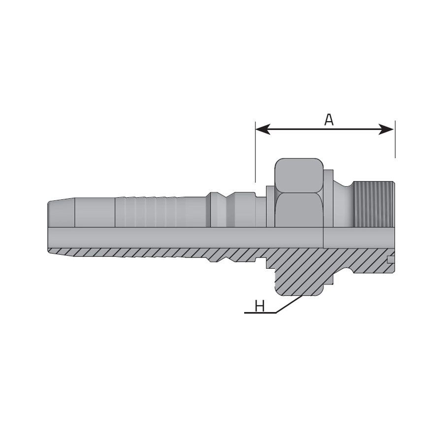 MASCHIO ORFS -  Vitillo