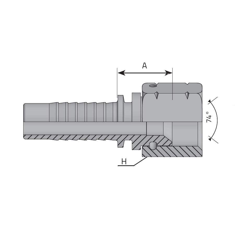 JIC 37° FEMALE - THRUST WIRE NUT -  Vitillo