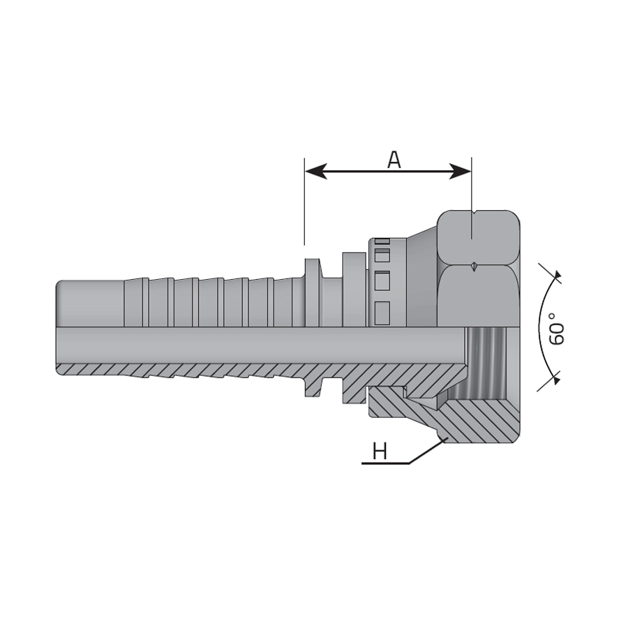 FEMMINA METRICA SV 60° -  Vitillo