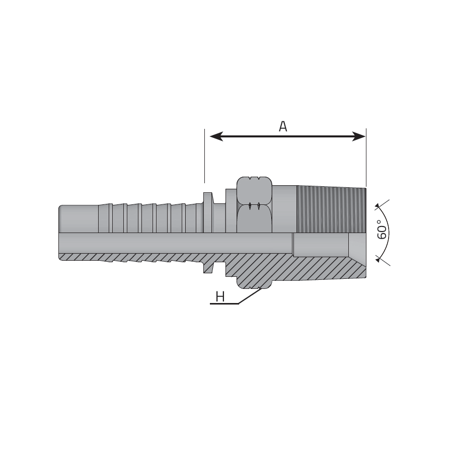 MASCHIO NPTF SV 60° -  Vitillo