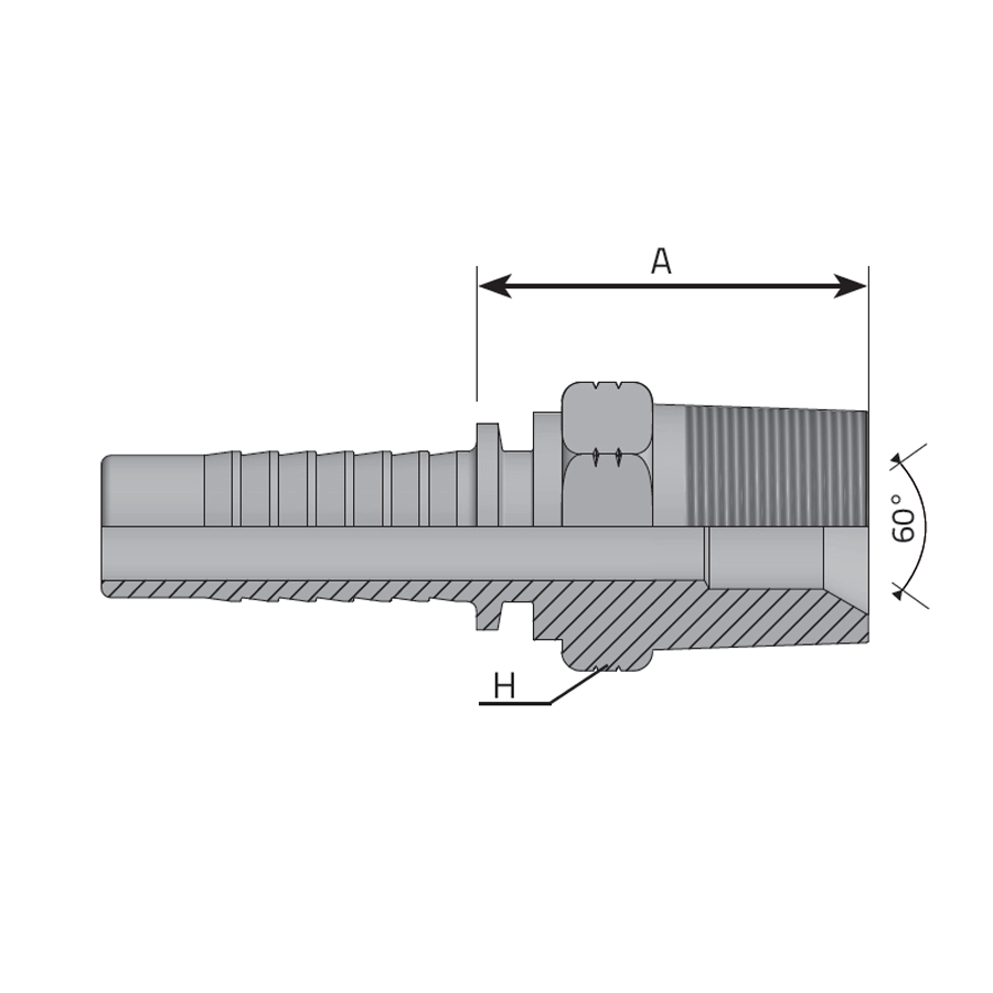 MASCHIO NPTF SV 60° -  Vitillo