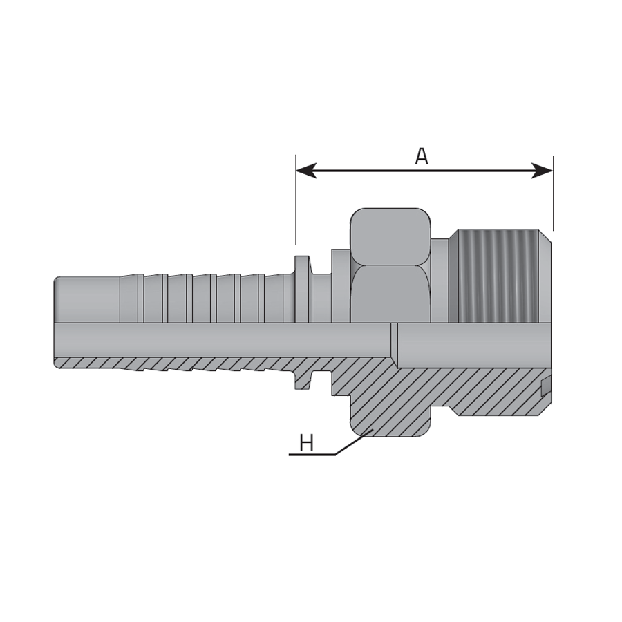 MASCHIO ORFS -  Vitillo